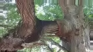 fast camshot