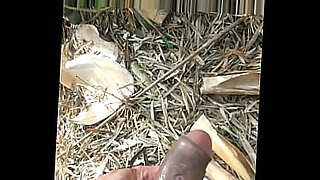 gay forest sex