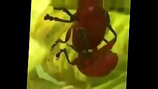 uzaer khan xxx prun videos