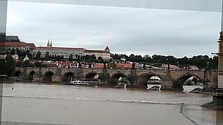 rio jeleone