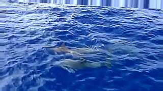 pies madura