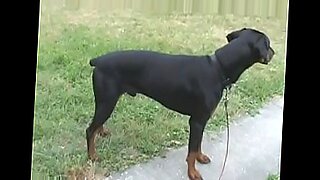 mea maya