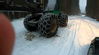 tied up in the barn